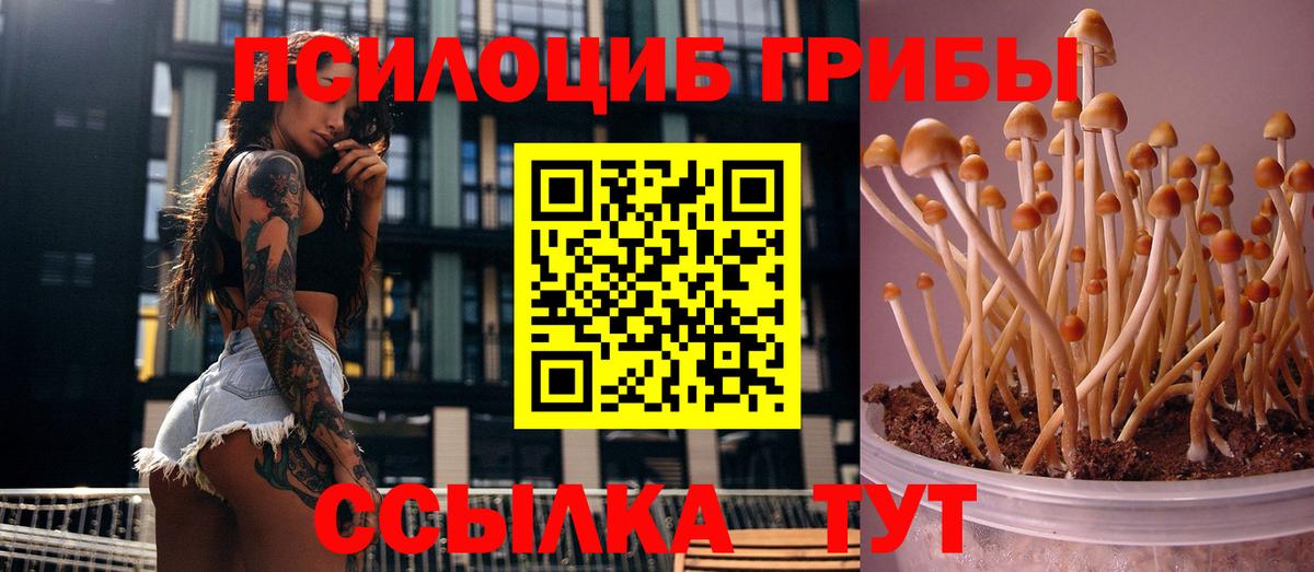 Галлюциногенные грибы прущие грибы  Вход с VPN  Луховицы 