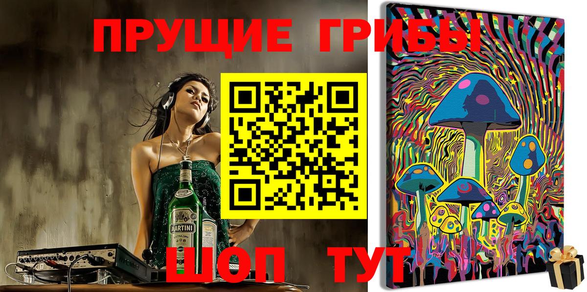 Галлюциногенные грибы Psilocybine cubensis Луховицы